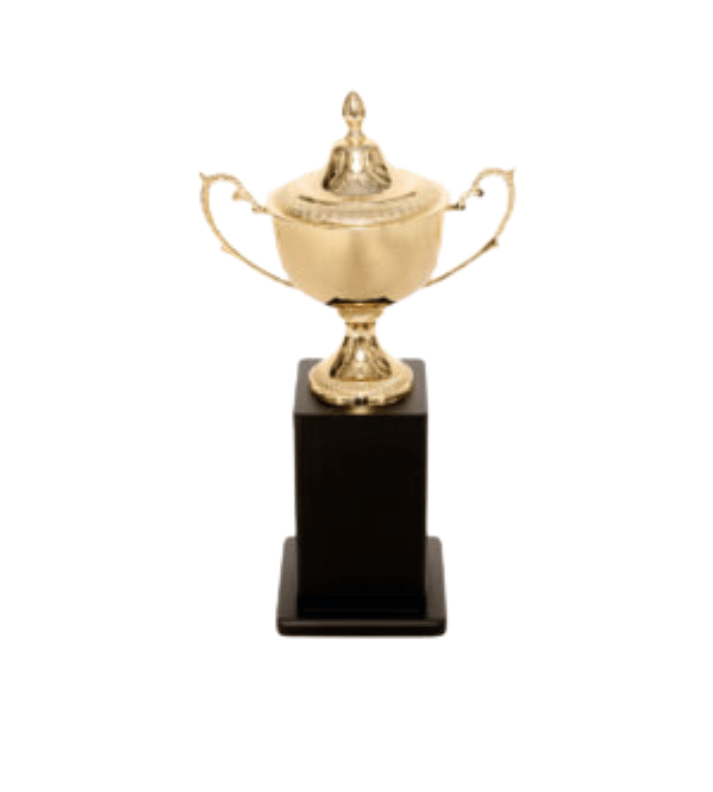 Hands with Diamond – Customised Metal Trophy