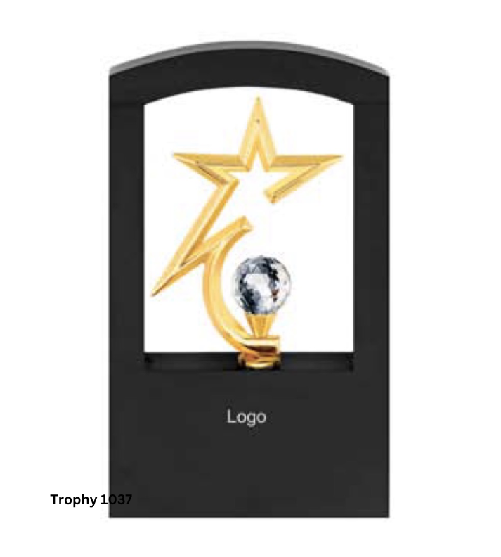 Engraved gold metal trophy, customizable for awards and recognition, ideal for corporate events, employee achievements, and special occasions.