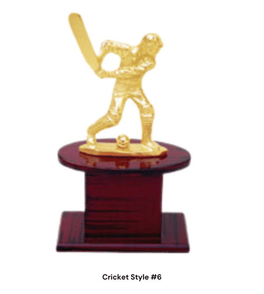 Cricket Style Trophy #6 - Gold Sports Award (46/53/62 cm) | Premium Recognition for Cricket Tournaments