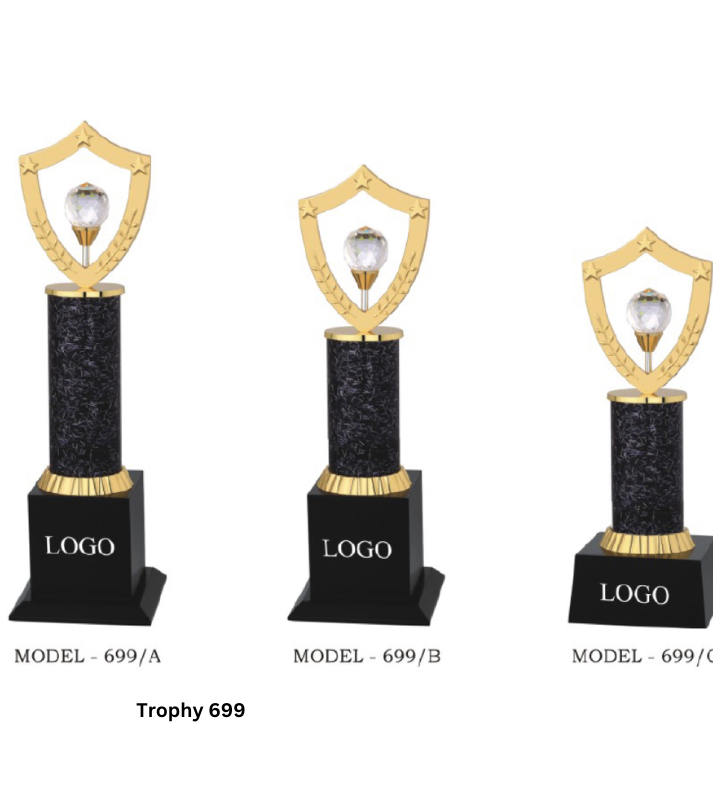 Custom Metal Trophy | Personalized Award – Gold & Grey (10.5/12/13.5 Inches)