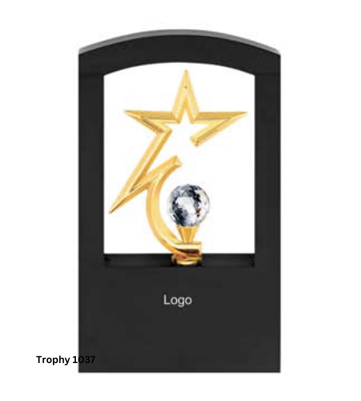 Custom Metal Trophy | Personalized Award – Gold (10.25 Inches)